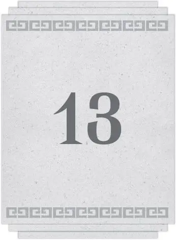 Chapter 13