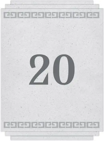 Chapter 20