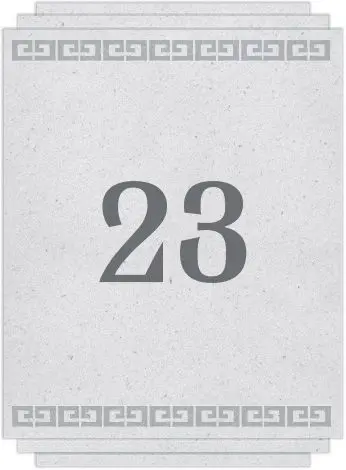 Chapter 23