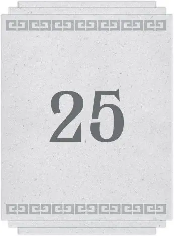 Chapter 25