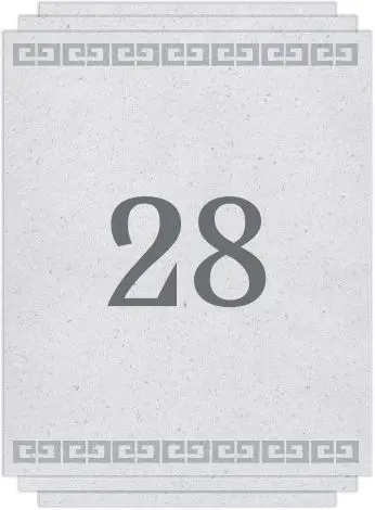 Chapter 28