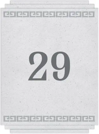 Chapter 29