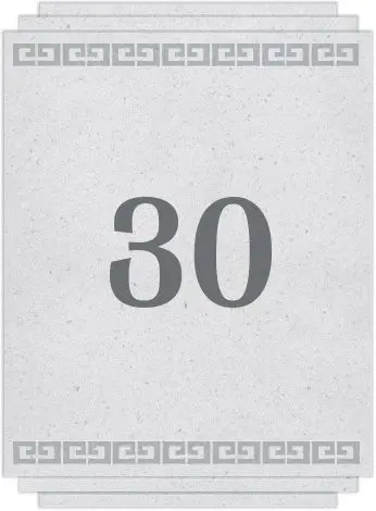 Chapter 30