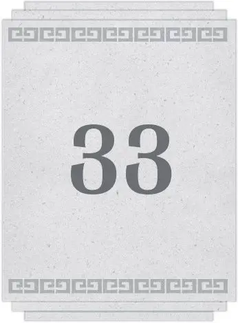Chapter 33