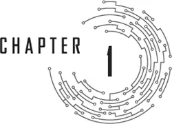 Chapter 1