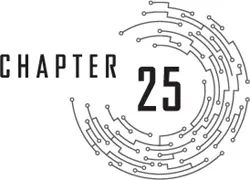 Chapter 25