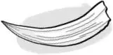 Image Missing