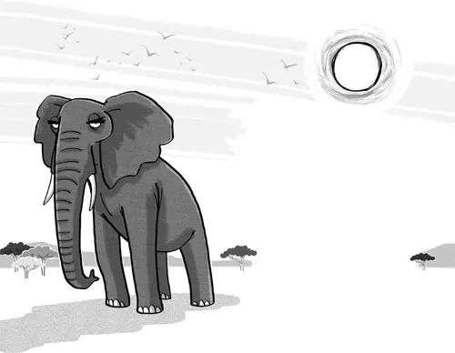 Image Missing