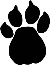Image Missing