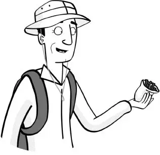 Image Missing