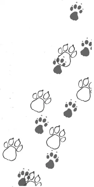 Image Missing