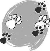 Image Missing