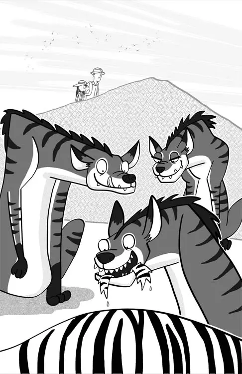 Image Missing