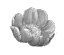 epi-fig