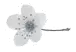 divider