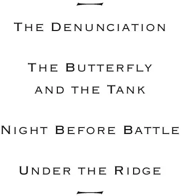 denunciation