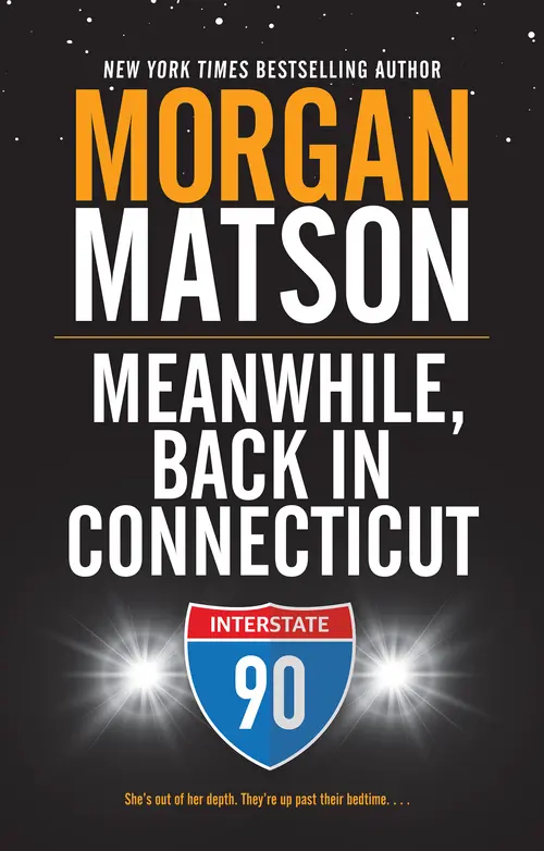 Cover: Meanwhile, Back In Connecticut, by Morgan Matson