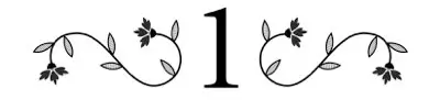 Chapter 1