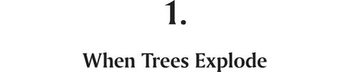 1. When Trees Explode