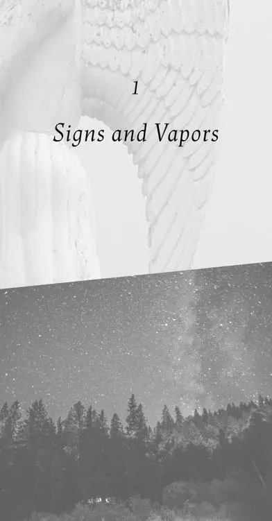 1 Signs and Vapors