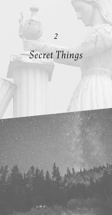 2 Secret Things