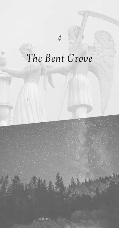 4 The Bent Grove