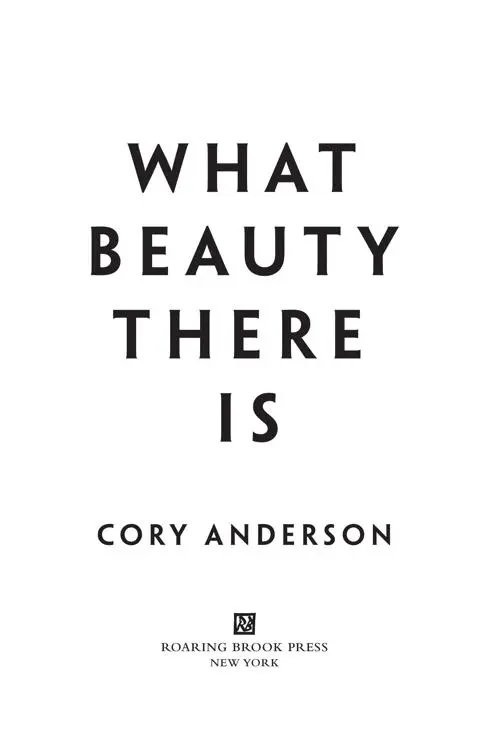 What Beauty There Is by Cory Anderson