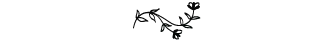 image-placeholder