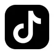 TikTok icon