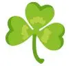 shamrock