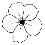 image-placeholder