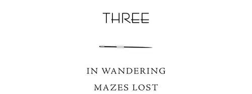 Three In wandering mazes lost