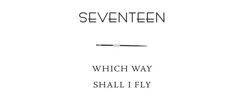 Seventeen Which way shall I fly