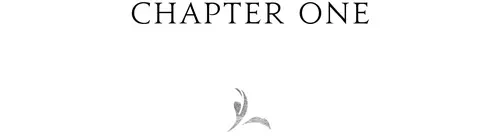 Chapter One