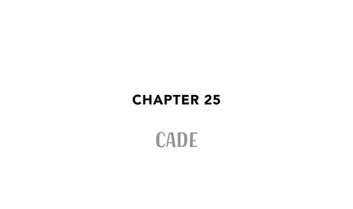Chapter 25 CADE