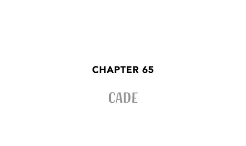 Chapter 65 CADE