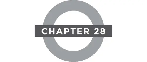 Chapter 28