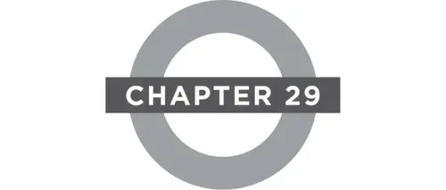 Chapter 29