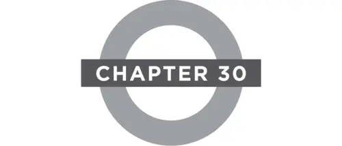 Chapter 30