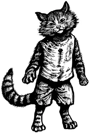 Illustration