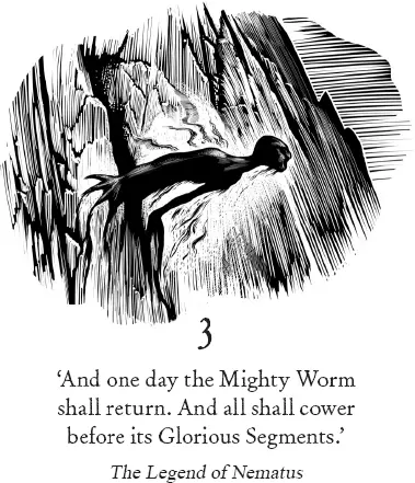 Illustration
