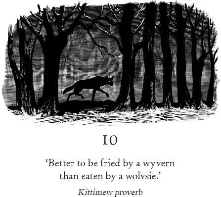 Illustration