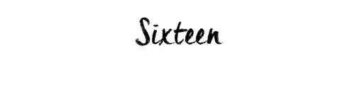 Sixteen