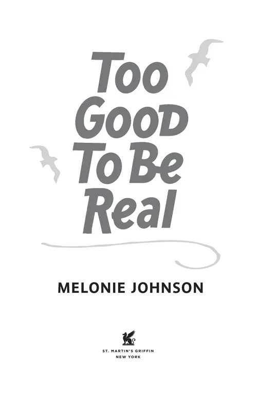 Too Good to Be Real by Melonie Johnson