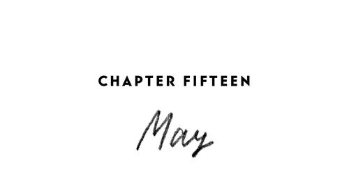 Chapter Fifteen