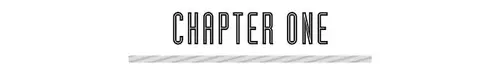 CHAPTER ONE