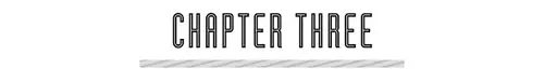 CHAPTER THREE