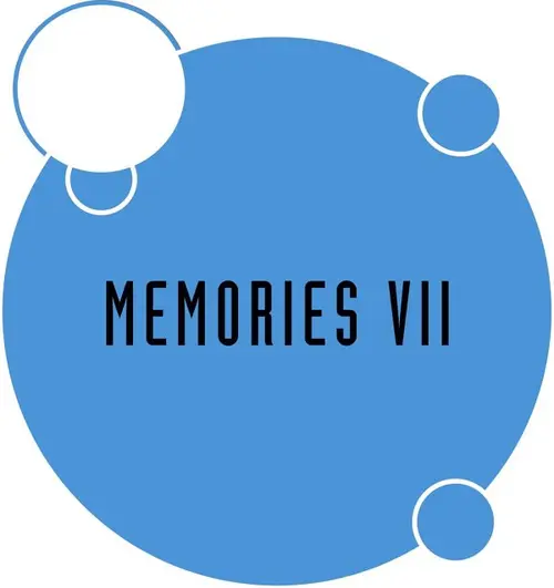 MEMORIES VII