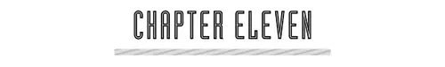 CHAPTER ELEVEN
