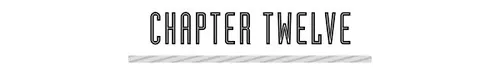 CHAPTER TWELVE